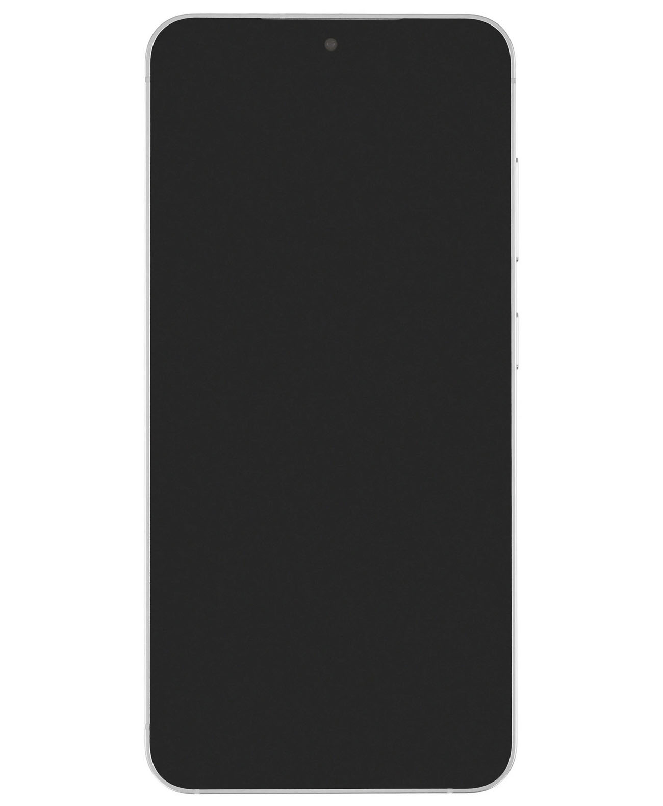 Samsung Galaxy S24 5G 8/256Gb Global Marble Gray