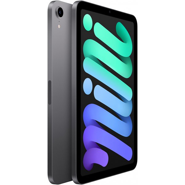 Apple iPad mini 2021 64Gb Wi-Fi Space Grey
