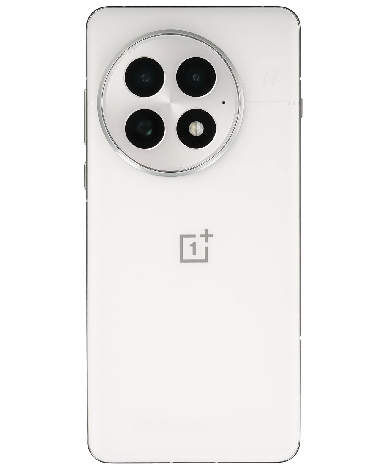 OnePlus 13 16/512Gb Global Arctic Dawn