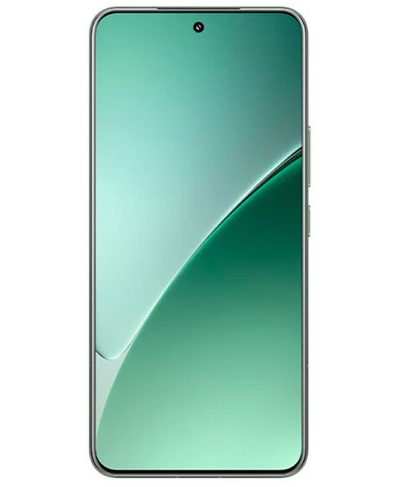 Xiaomi 15 Pro 12/256Gb Green
