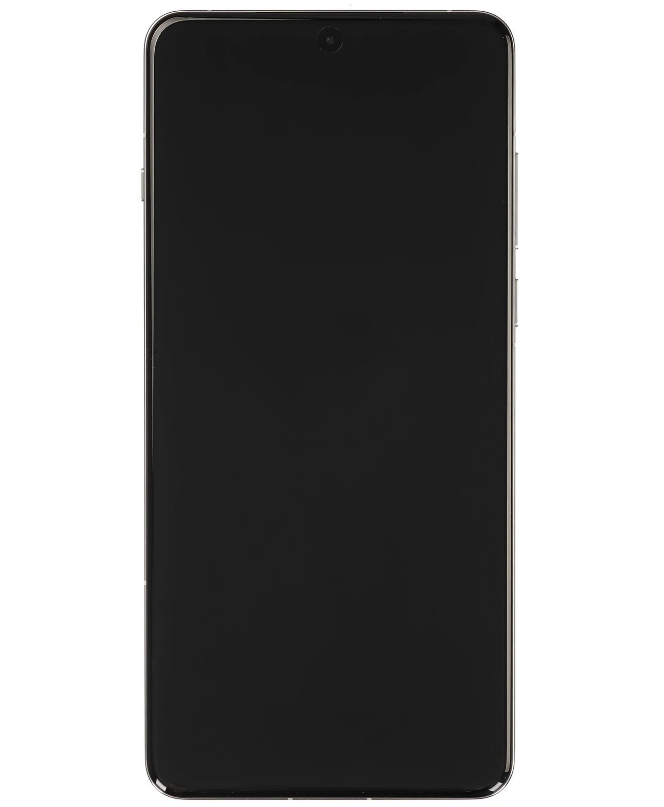 OnePlus 13 16/512Gb Global Arctic Dawn