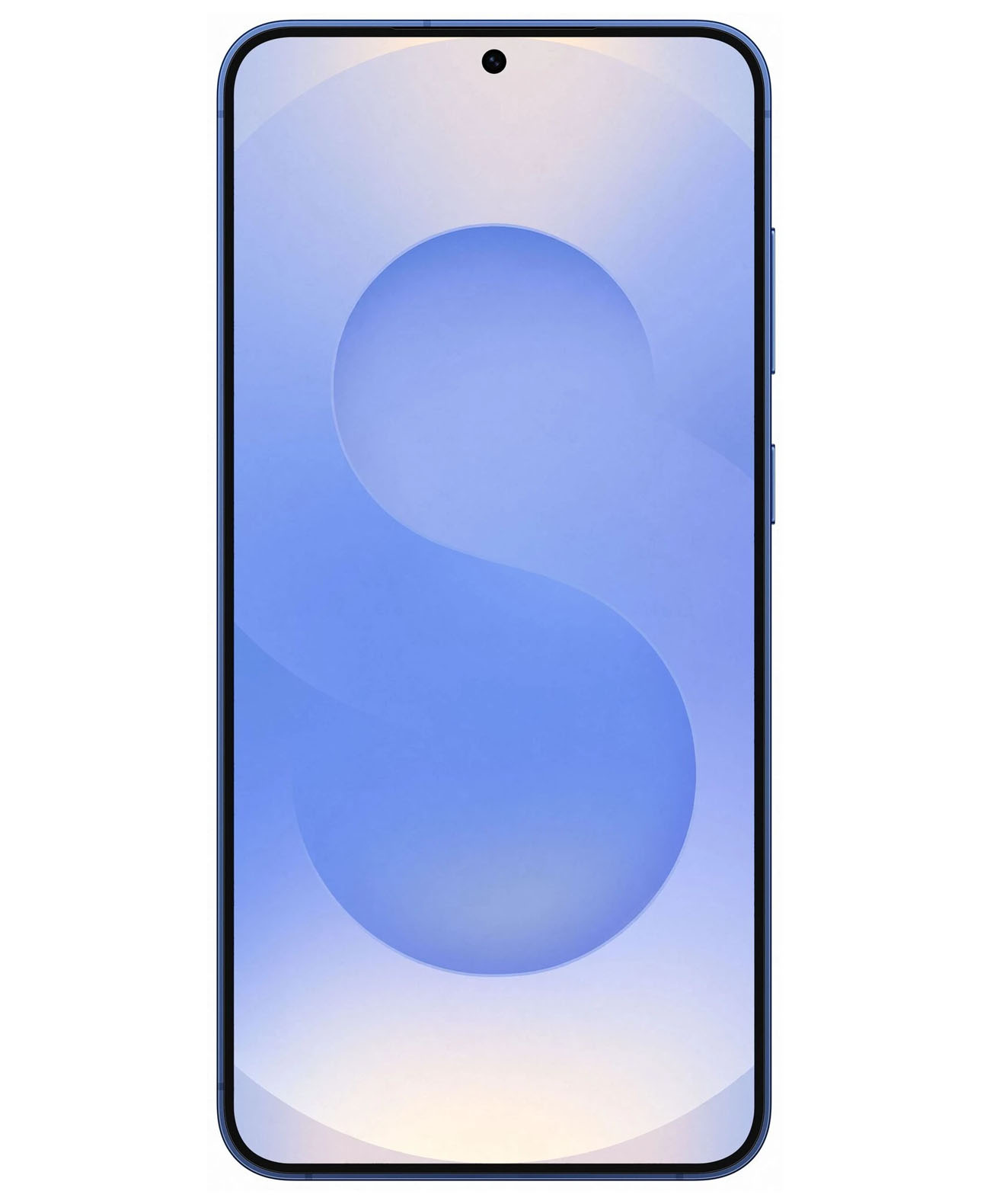 Samsung Galaxy S25+ 5G 12/256Gb Global Navy