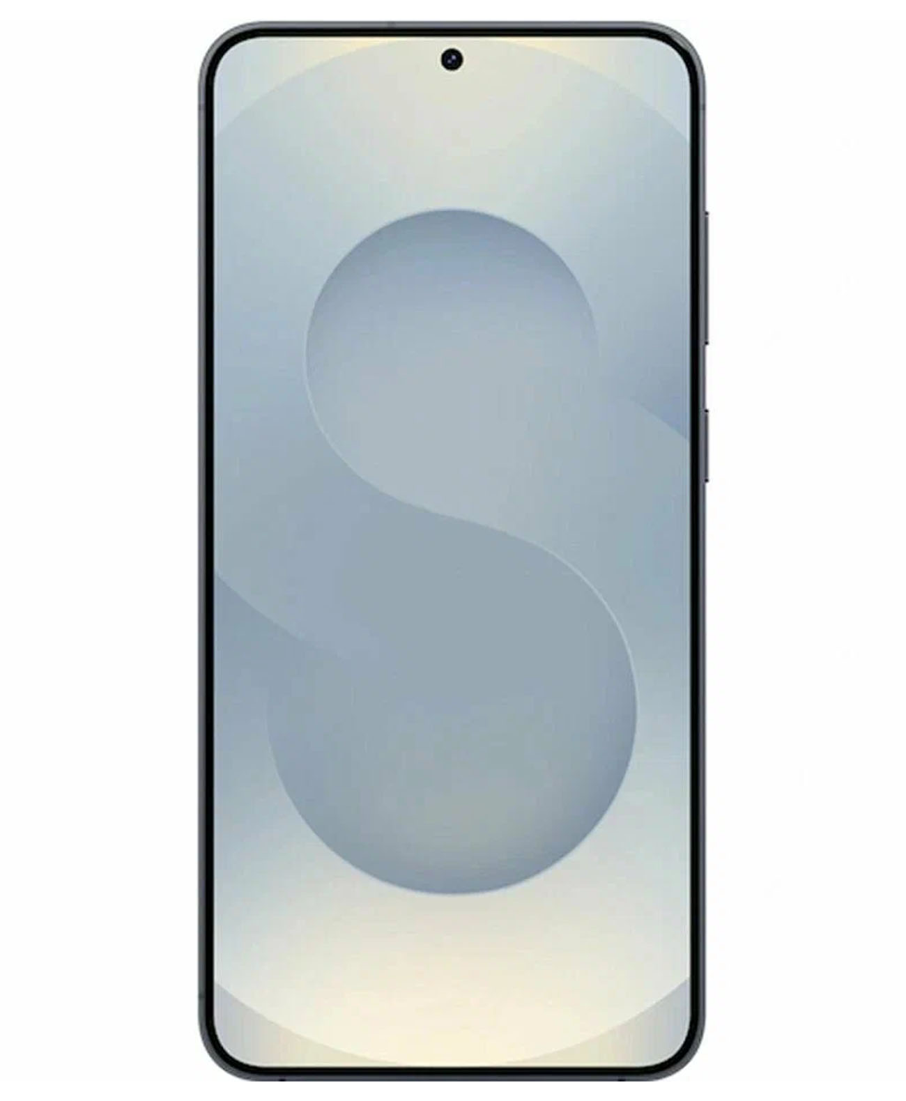 Samsung Galaxy S25+ 5G 12/512Gb Global Blue Black