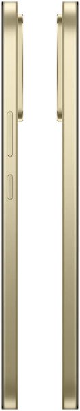 Realme 16 Pro 8/256Gb RU Master Gold