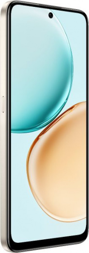 Honor X7d 6/128Gb RU Gold