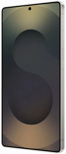 Samsung Galaxy S25 Ultra 12/256Gb Global Titanium Black