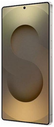 Samsung Galaxy S25 Ultra 12/512Gb Global Titanium Gray
